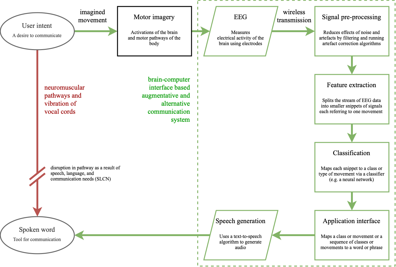 Figure 2: Flowchart comparing the pathways of traditional and BCI AAC communication.