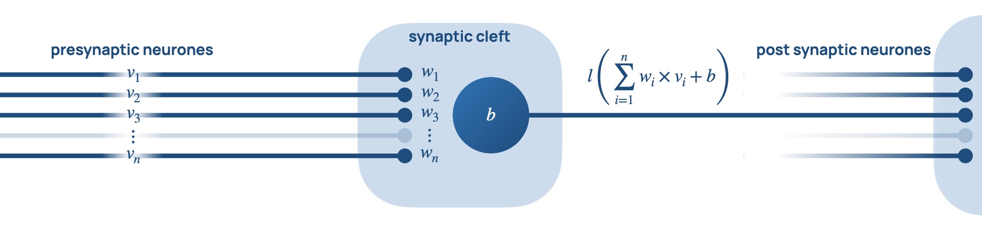 Slide 2: 'Neural network structure mimics interconnected web of neurones in our brains'